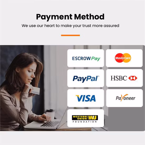 Профессиональные морские перевозки с 40 контейнерами в Мансанильо/Лазаро Кардена китайским экспедитором