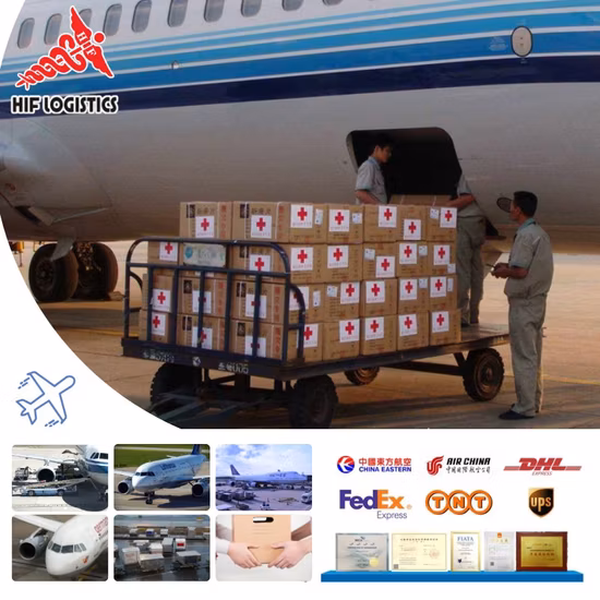 Лучший экспедитор для авиа/морских перевозок из Китая в Канаду с DDP/DDU